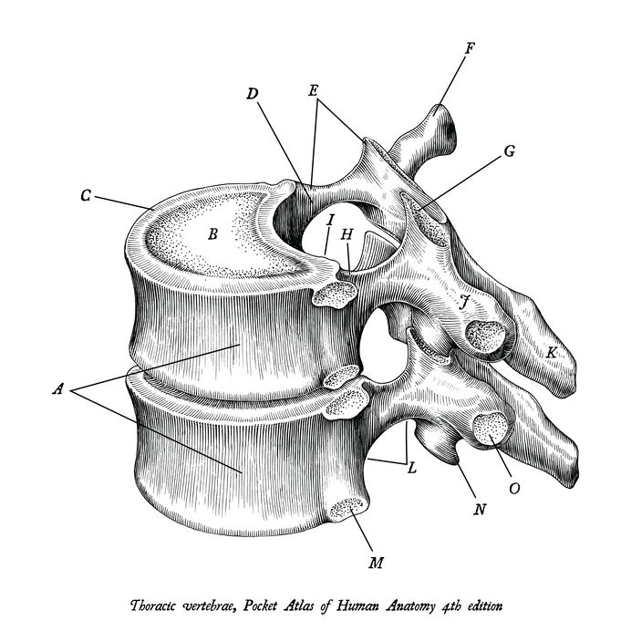 Brystrygg og smerter mellom skulderbladene